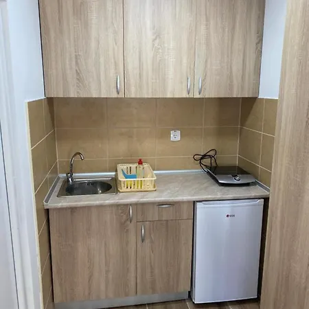 Zdravkovic Prolom Banja アパート Prolomska Banja